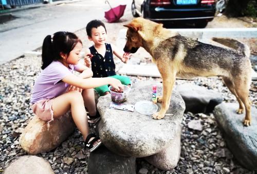 Imagen de la habitación del Hostel Yha Blue Sky International Youth. Foto 9
