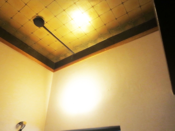 Imagen de la habitación del Hostel Yokohama Village Hayashi Kaikan. Foto 11