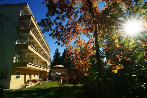 Imagen general del Hostel Youth Crans-montana. Foto 5