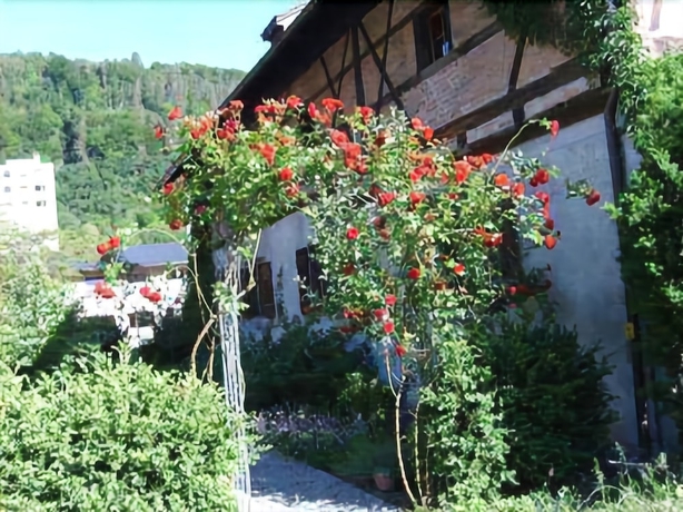 Imagen de los exteriores del Hostel Youth Feldkirch. Foto 10