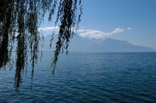 Imagen general del Hostel Youth Montreux. Foto 3