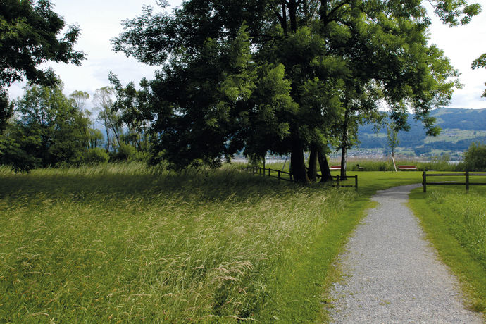 Imagen de los exteriores del Hostel Youth Rapperswil-jona. Foto 14