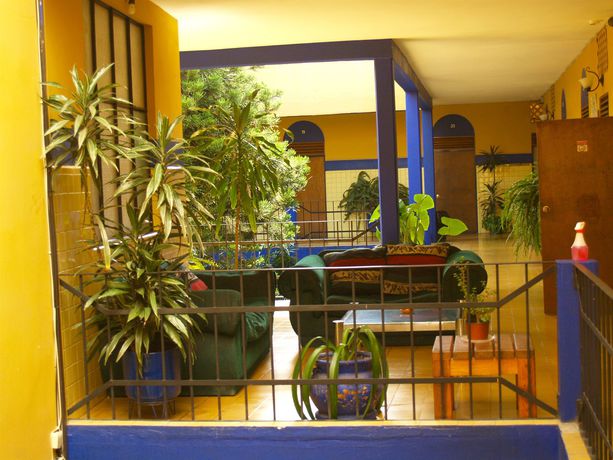 Imagen de los interiores del Hostel and Allende. Foto 16