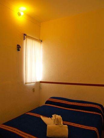Imagen de la habitación del Hostel and Allende. Foto 9