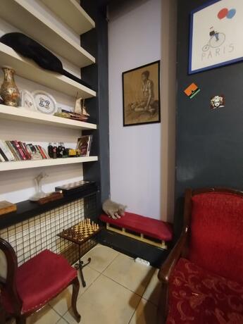 Imagen general del Hostel ivy cafe. Foto 2