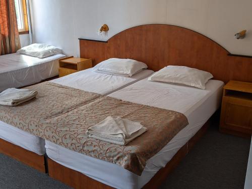Imagen general del Hotel Хотел Палма-Вайс. Foto 9