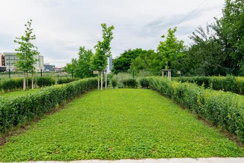Imagen de la habitación del Hotel Къмпинг Алианс. Foto 20