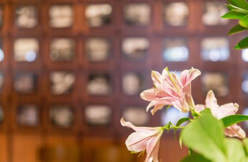 Imagen general del Hotel 米沢エクセルホテル東急. Foto 13