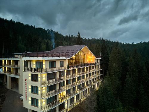 Imagen general del Hotel Готель у Борисовича. Foto 13
