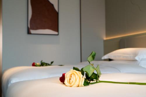 Imagen general del Hotel 长沙荔高尊享酒店. Foto 4