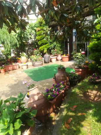 Imagen general del Hotel Хотел Свети Трифон. Foto 3