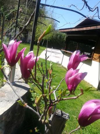 Imagen general del Hotel Хотел Свети Трифон. Foto 14
