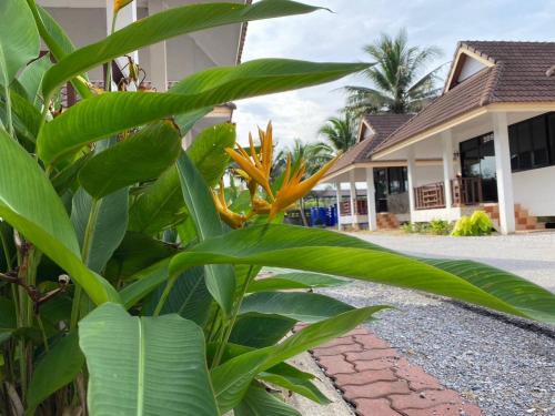 Imagen general del Hotel หาดทรายขาวรีสอร์ท. Foto 3