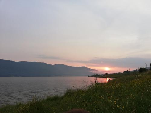 Imagen general del Hotel Вили Елеганс Сърница. Foto 7