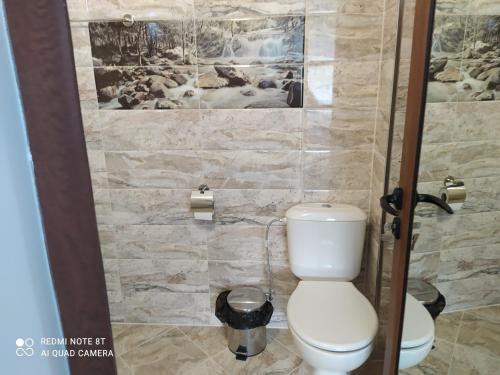 Imagen general del Hotel Вили Елеганс Сърница. Foto 16