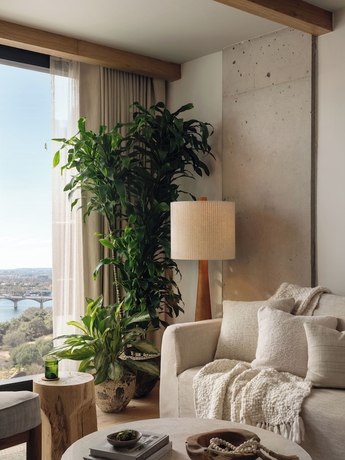 Imagen de la habitación del Hotel 1 Austin. Foto 5