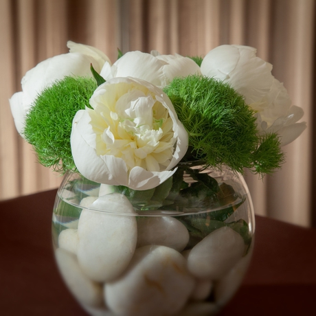 Imagen general del Hotel 1 Hotel Seattle. Foto 4