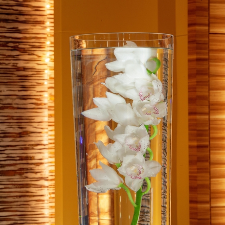 Imagen de los interiores del Hotel 1 Hotel Seattle. Foto 12