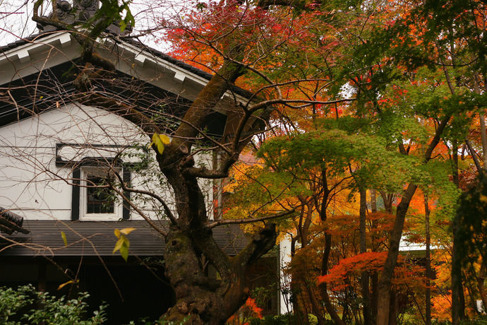 Imagen del bar/restaurante del Hotel 1000 Years Of Tradition - Akiu Onsen Sakan. Foto 5