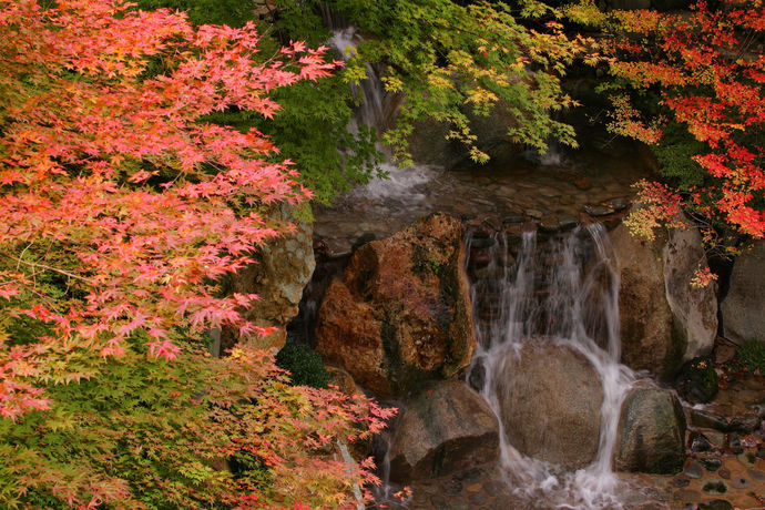 Imagen de los exteriores del Hotel 1000 Years Of Tradition - Akiu Onsen Sakan. Foto 14