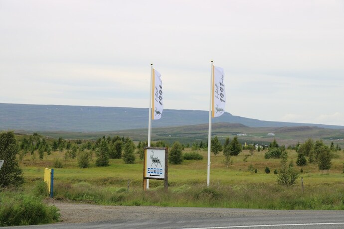 Imagen general del Hotel 1001 Nott. Foto 9