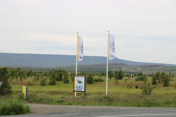 Imagen de los exteriores del Hotel 1001 Nott. Foto 24