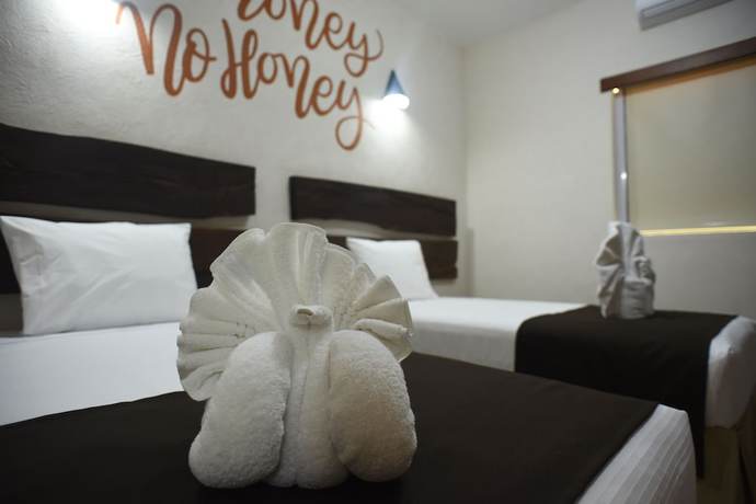 Imagen de la habitación del Hotel 12 Bees. Foto 6