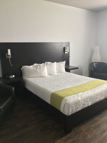 Imagen de la habitación del Hotel 1212. Foto 8