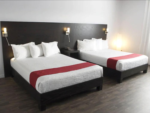 Imagen de la habitación del Hotel 1212. Foto 15