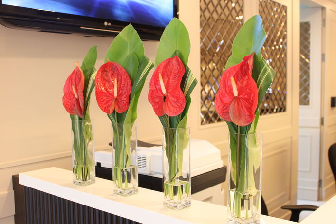 Imagen de los exteriores del Hotel 14 Residence. Foto 6