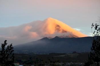 Imagen general del Hotel 16 Havelock. Foto 13