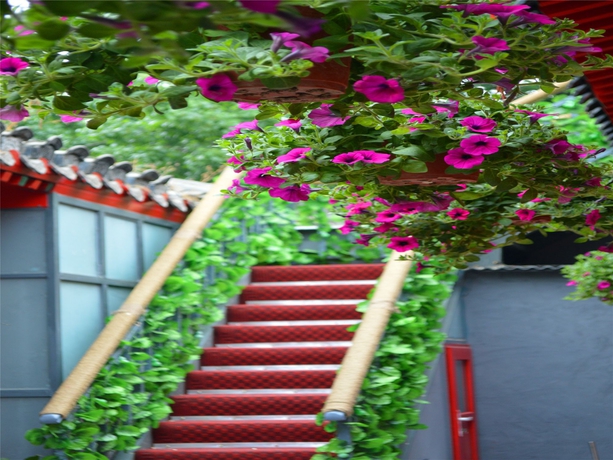 Imagen de los exteriores del Hotel 161 Lama Temple Courtyard. Foto 15