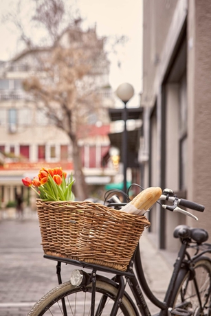 Imagen general del Hotel 18 Micon Street. Foto 3