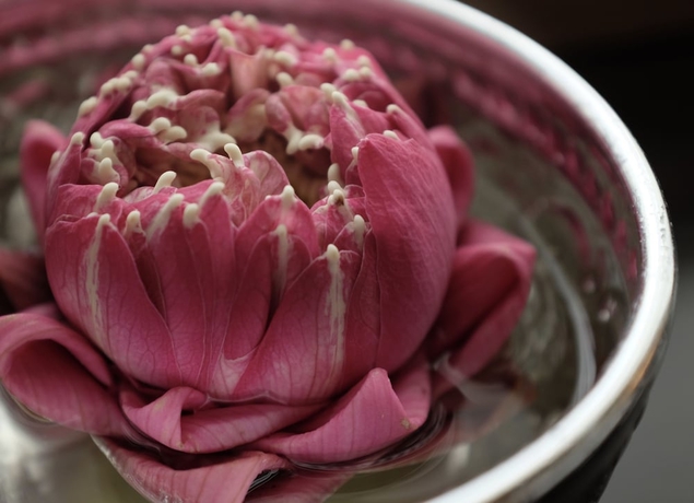 Imagen de la habitación del Hotel 1905 Heritage Corner. Foto 11