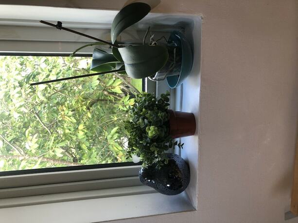 Imagen general del Hotel 2 bedroom Apartment Heathrow Airport. Foto 4