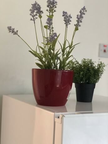 Imagen general del Hotel 2 bedroom Apartment Heathrow Airport. Foto 8