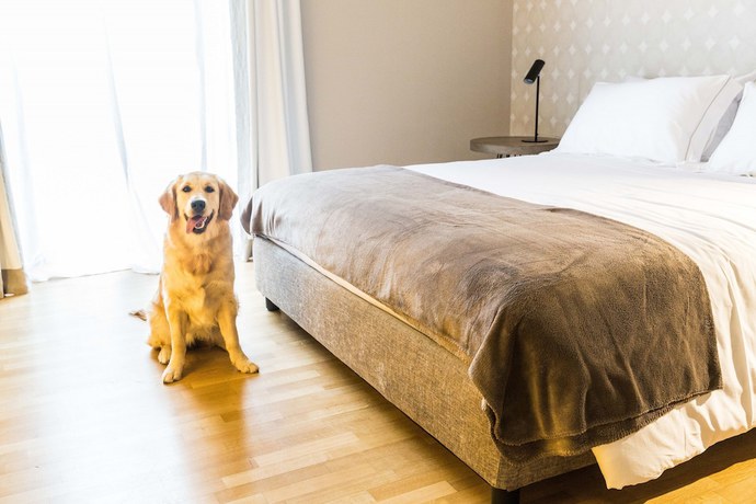 Imagen de la habitación del Hotel 200 Rooms and Terrace. Foto 3