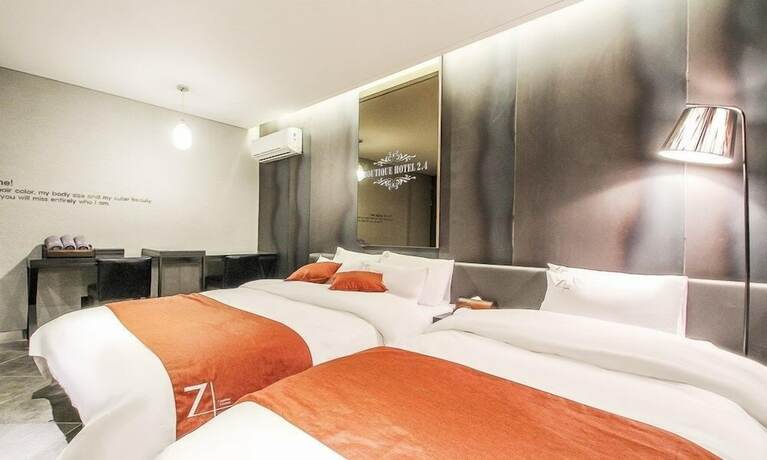 Imagen de la habitación del Hotel 2.4. Foto 23