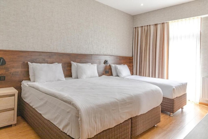 Imagen de la habitación del Hotel 25 Bakuriani. Foto 3
