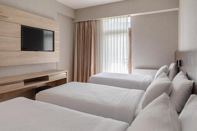 Imagen de la habitación del Hotel 25 Bakuriani. Foto 10