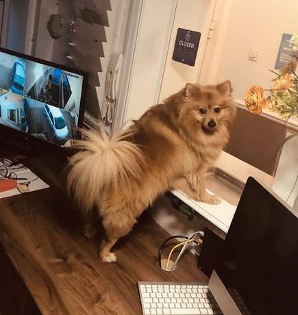 Imagen de los interiores del Hotel 261. Foto 20