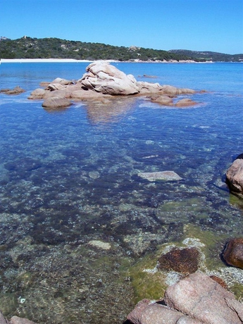 Imagen de los exteriores del Hotel 3 Botti. Foto 8