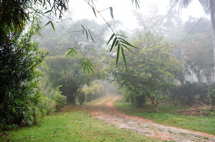 Imagen de la habitación del Hotel 3 Hills County. Foto 12