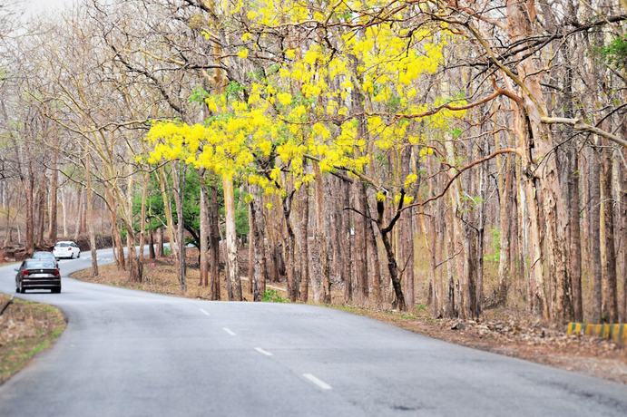 Imagen de la habitación del Hotel 3 Hills County. Foto 13