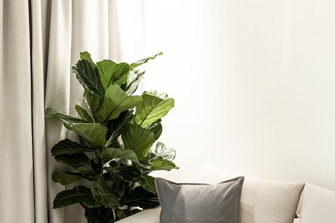 Imagen de la habitación del Hotel 31 Doors. Foto 10