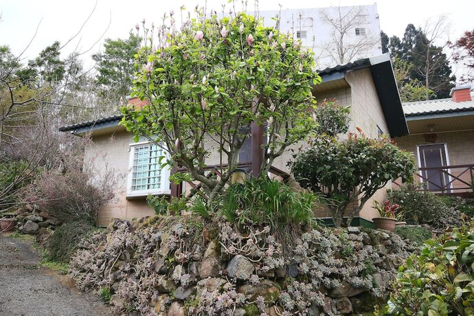 Imagen general del Hotel 31 Homestay. Foto 4