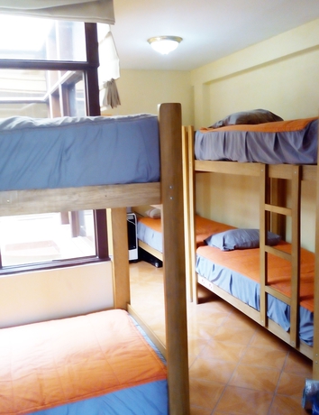 Imagen de la habitación del Hotel 335 Backpackers. Foto 7