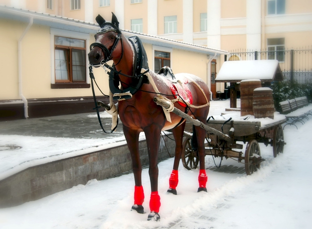 Imagen de los exteriores del Hotel 365 Spb. Foto 16