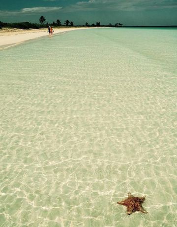 Imagen de la habitación del Hotel 40 Ca&ntilde;ones. Foto 7