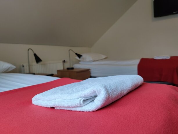 Imagen general del Hotel 550 Guesthouse. Foto 5